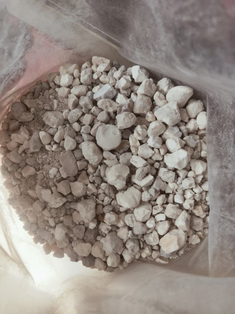 天竺黄天然货质量优良货比三家不满意可以退换货