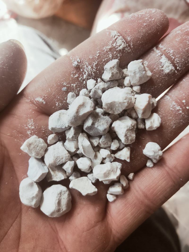 天竺黄天然货质量优良货比三家不满意可以退换货