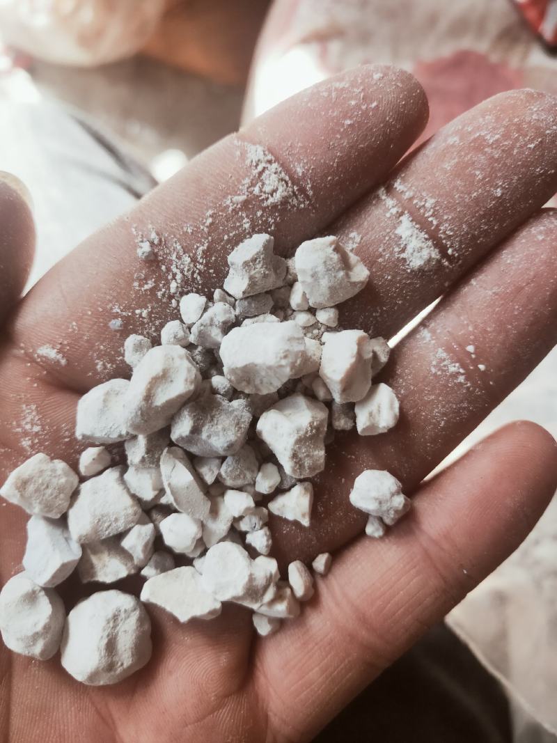 天竺黄天然货质量优良货比三家不满意可以退换货