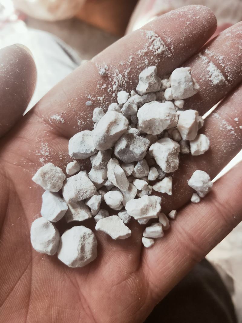 天竺黄天然货质量优良货比三家不满意可以退换货
