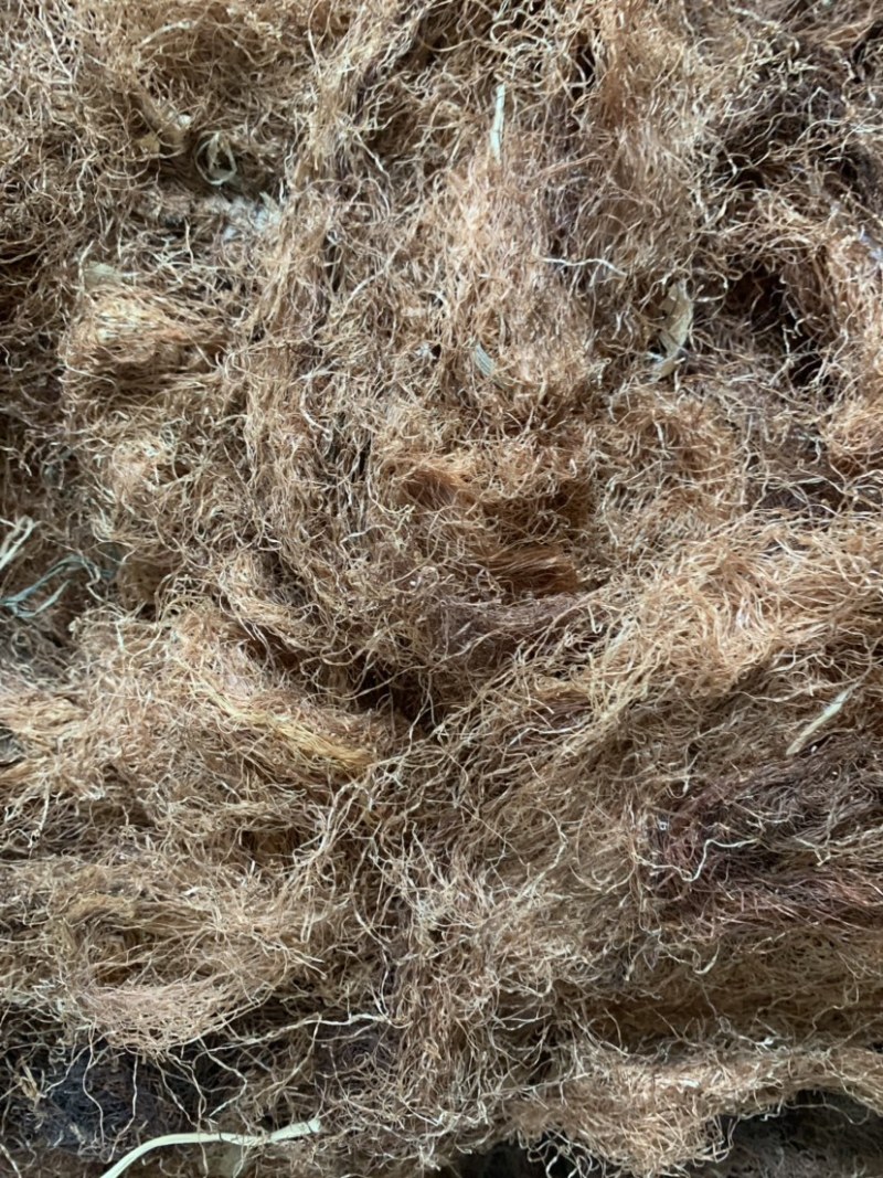 玉米须统货，大量出售。