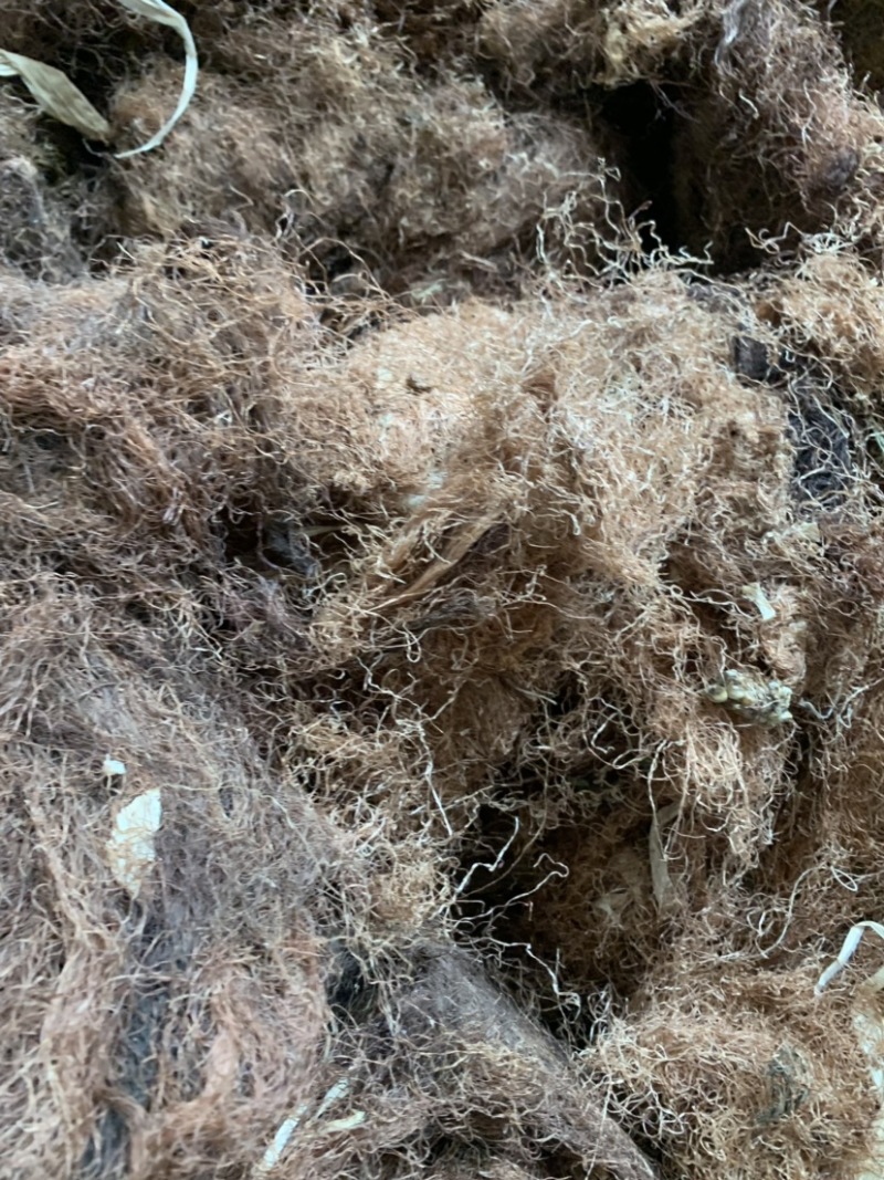 玉米须统货，大量出售。