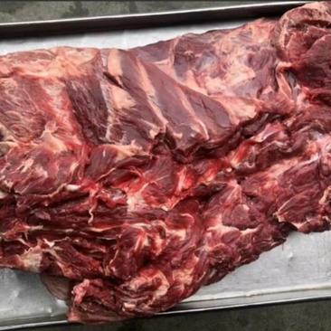 牛脖肉，大块牛肉，整块牛脖肉，质量保证，一手货源