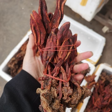 回春草两斤起批量大从优