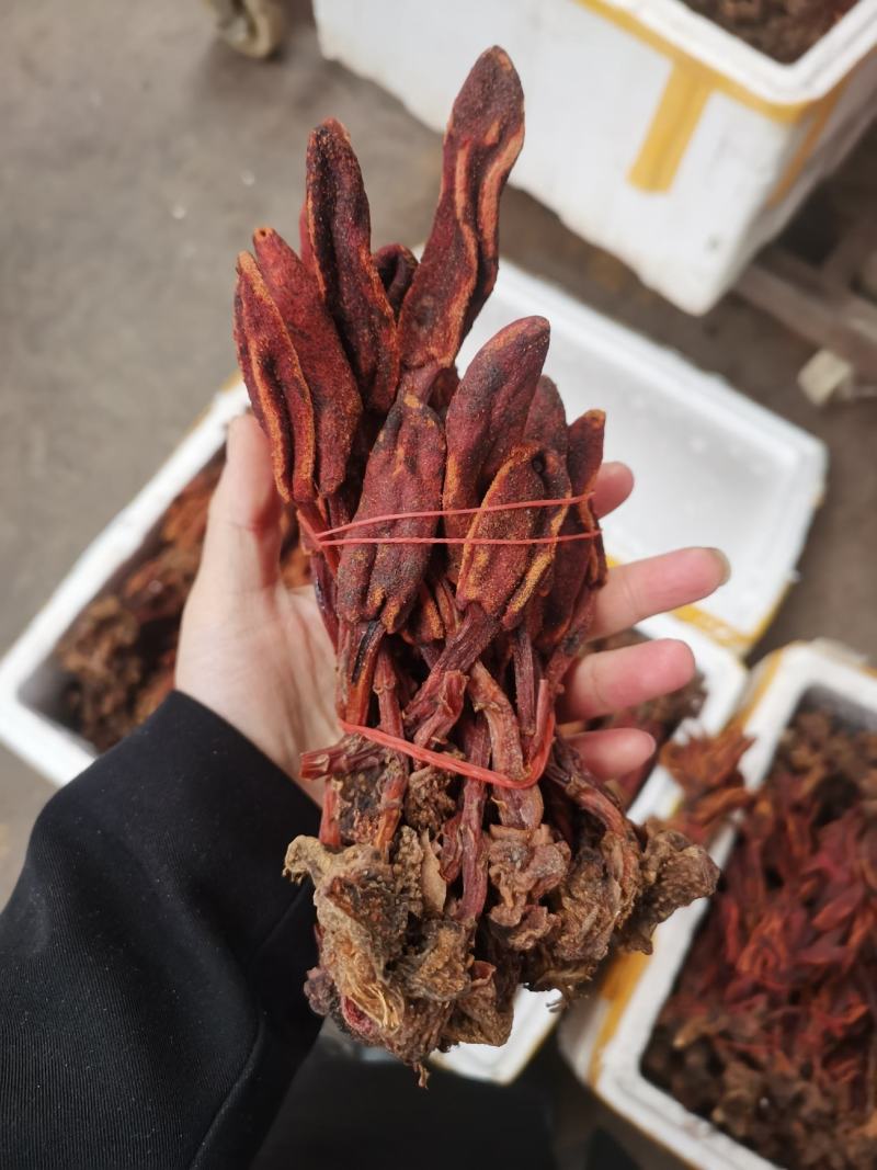 回春草两斤起批量大从优