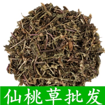仙桃草仙桃草中药材蟠桃草蚊母草接骨仙桃草八卦仙