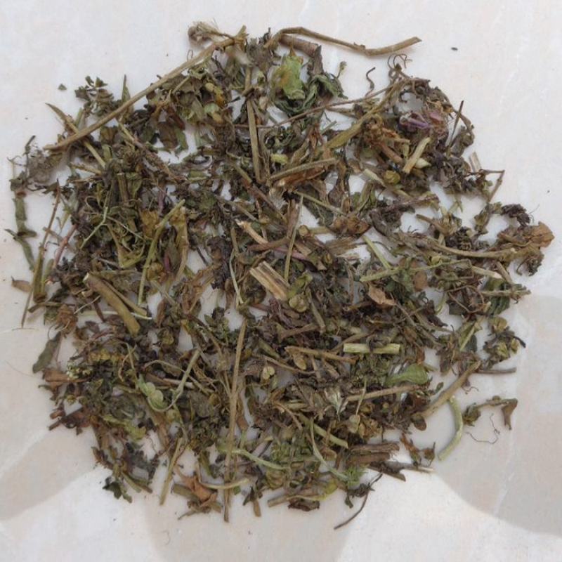 仙桃草仙桃草中药材蟠桃草蚊母草接骨仙桃草八卦仙