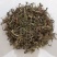 仙桃草仙桃草中药材蟠桃草蚊母草接骨仙桃草八卦仙