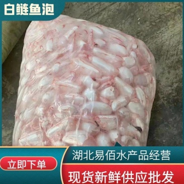 湖北白鲢鱼泡新鲜鱼泡工厂直供现货批发