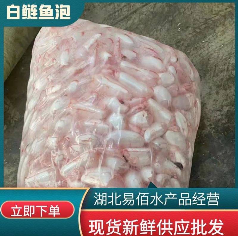 湖北白鲢鱼泡新鲜鱼泡工厂直供现货批发