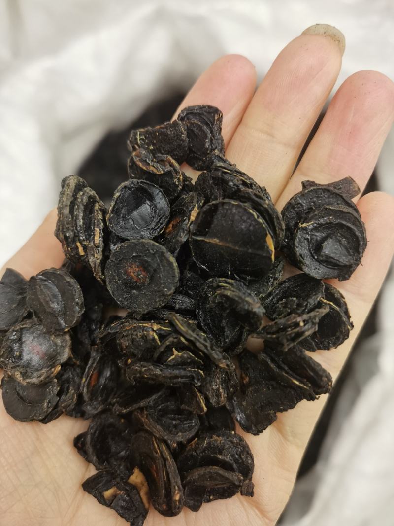 便秘果果片长期大货供应可以视频看货