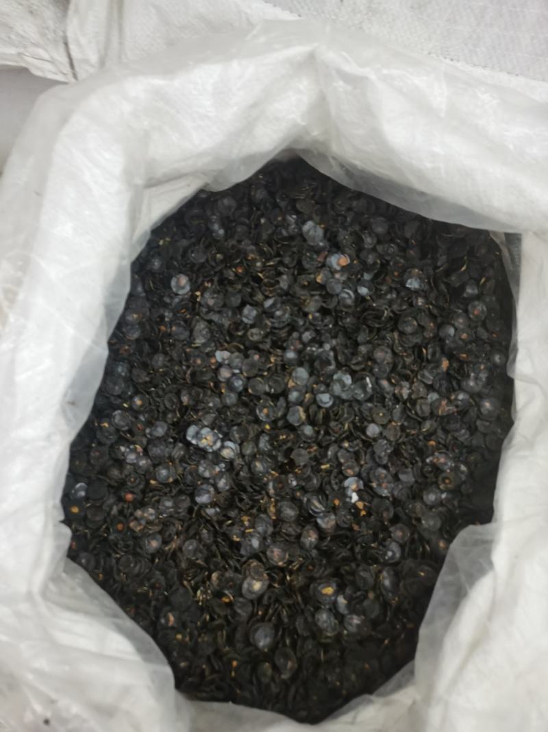 便秘果果片长期大货供应可以视频看货