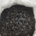 便秘果果片长期大货供应可以视频看货