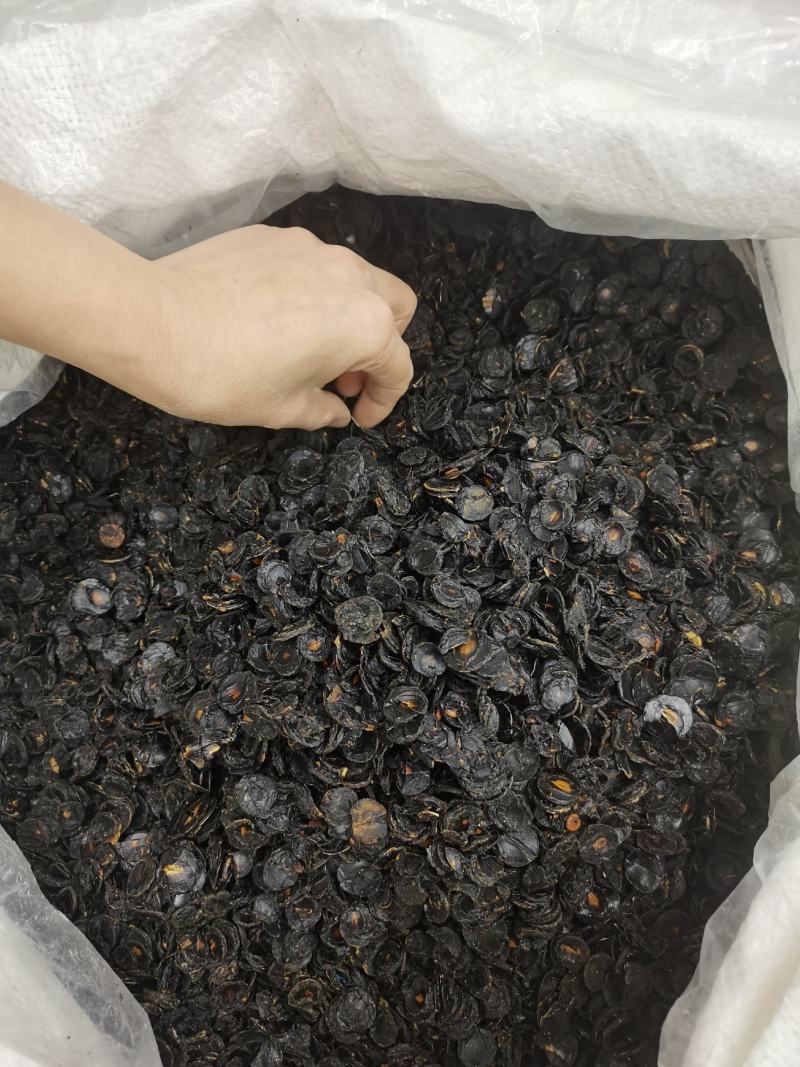 便秘果果片长期大货供应可以视频看货