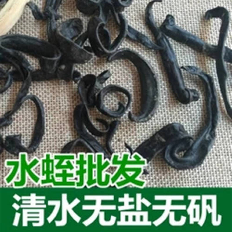 中药材水蛭粉纯水蛭粉清水水蛭蚂蟥干干货包邮