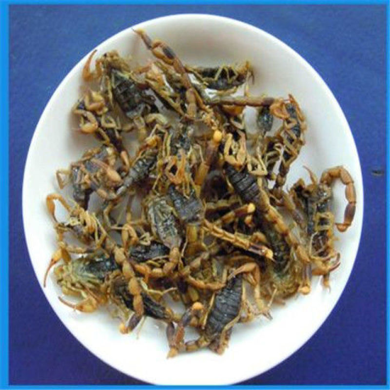 中药材全蝎粉优质蝎子干清水全蝎现磨粉全虫粉包邮