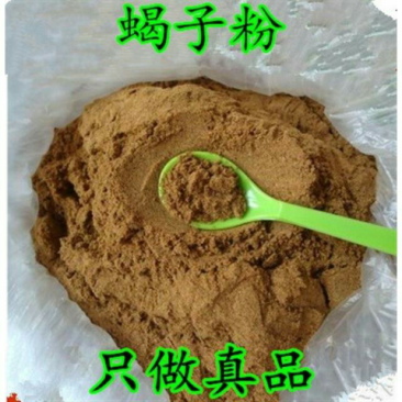 中药材全蝎粉优质蝎子干清水全蝎现磨粉全虫粉包邮