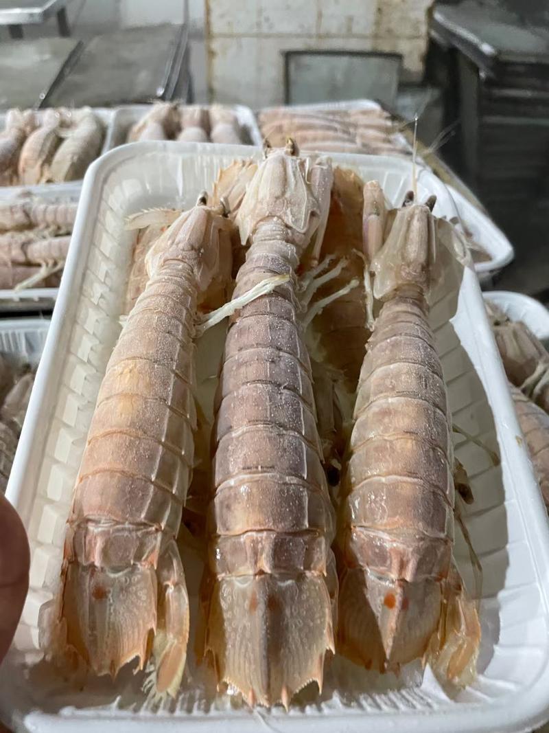 皮皮虾湛江皮皮虾肉虾，熟冻皮皮虾，人工挑选肉虾