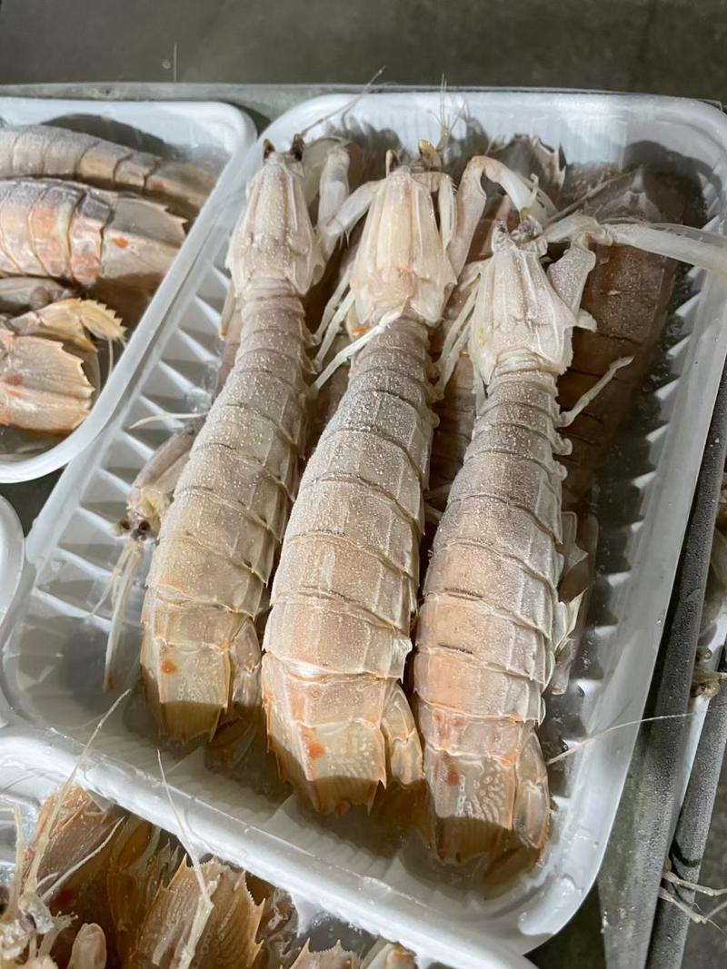 皮皮虾湛江皮皮虾肉虾，熟冻皮皮虾，人工挑选肉虾