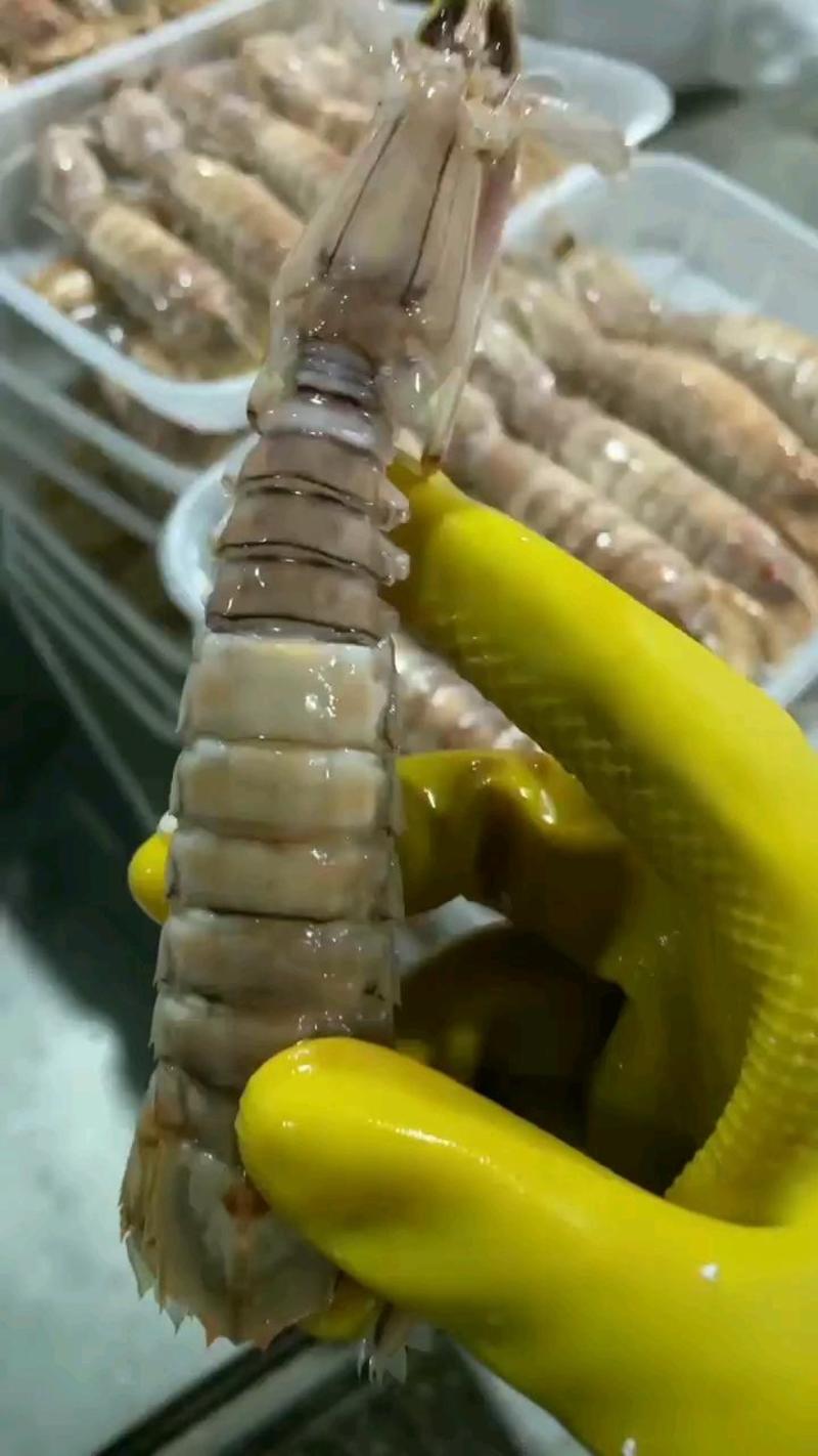 皮皮虾膏虾大号皮皮虾膏虾，每一只都带膏，立即下单发货