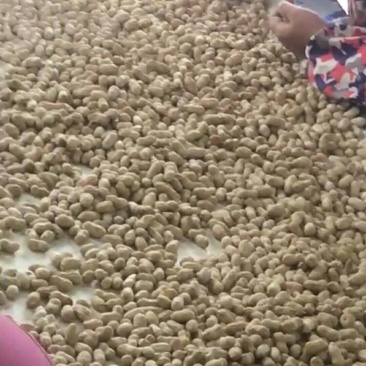 精品小白沙干货