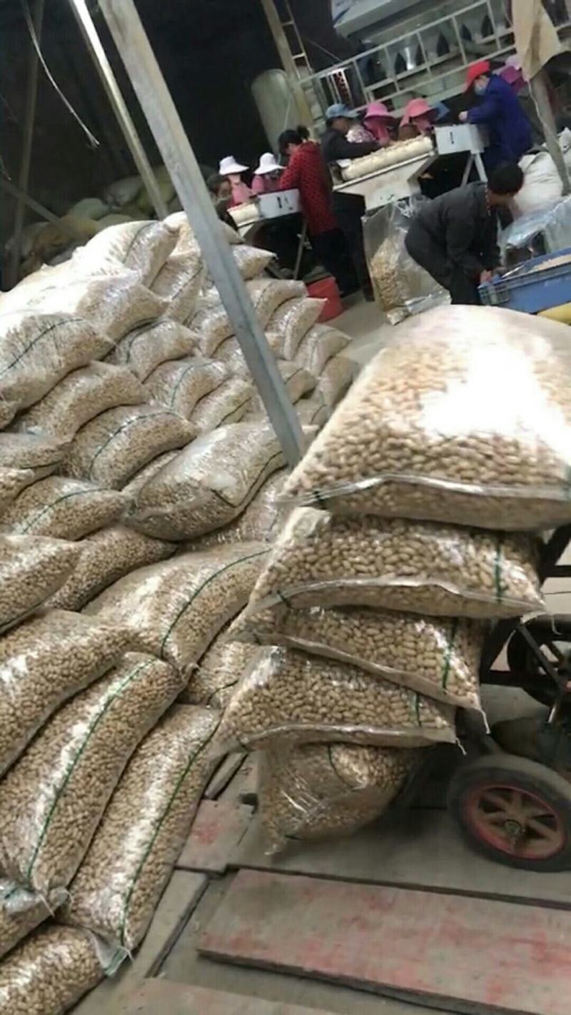 精品小白沙干货