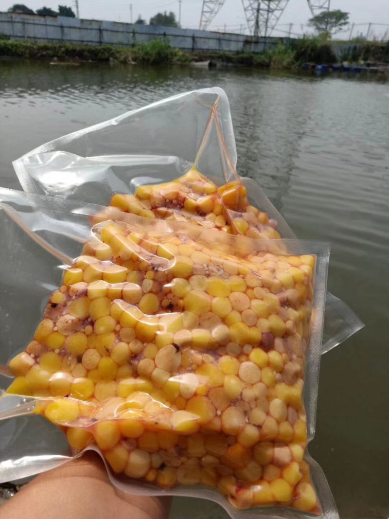 中华草龟肉，自家厂家生产，每天现货。新鲜速冻，量大价优