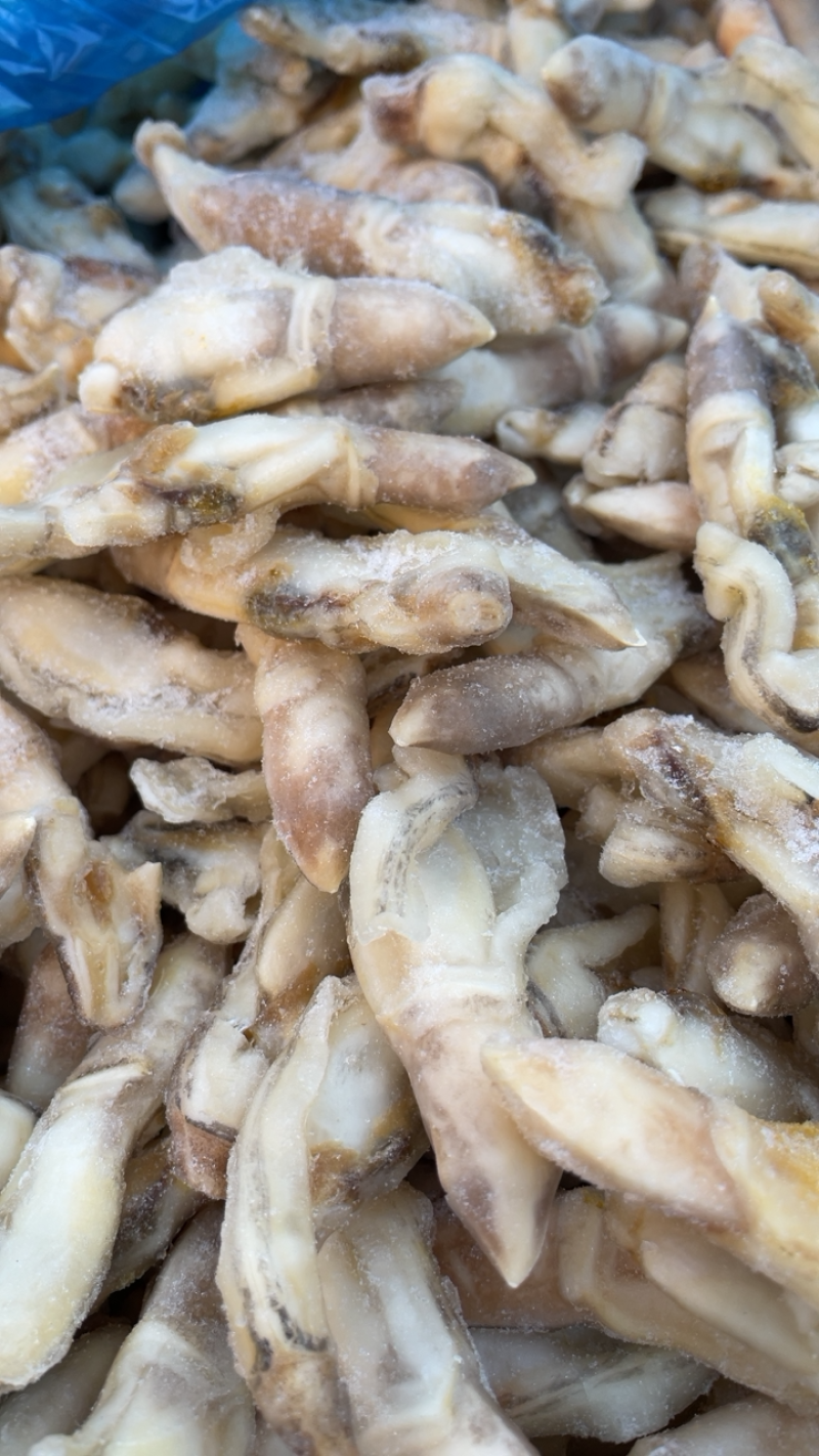 产地直销蛏王肉去沙嘴蛏王肉海蛏子肉圣子肉海鲜水产