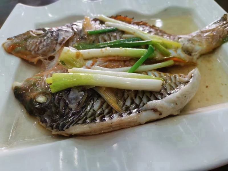 彩眉鱼-深海各种海鱼批发尽在锦福益海实业