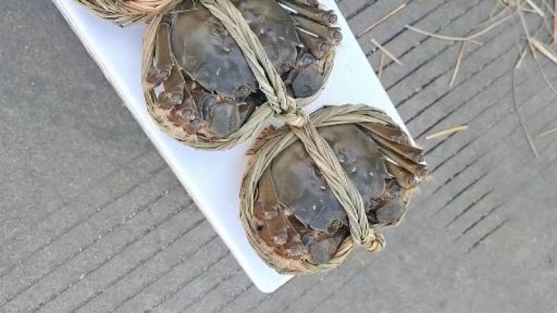 大闸蟹超战皇水产批发供应量大要货提前下单