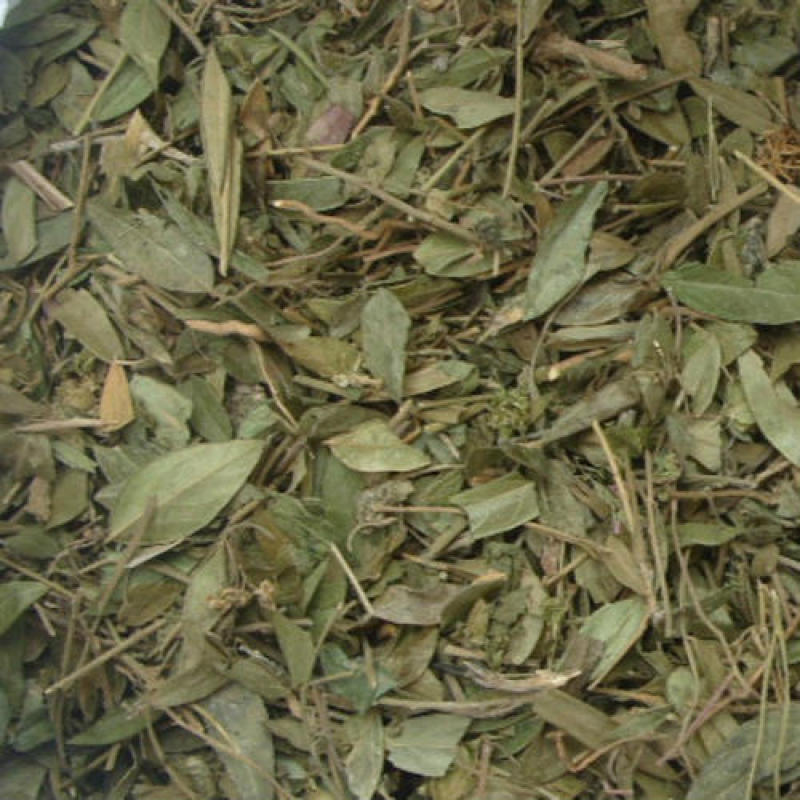 瓜子金，正品野生瓜子金新货质量保证，经营各种中药材！