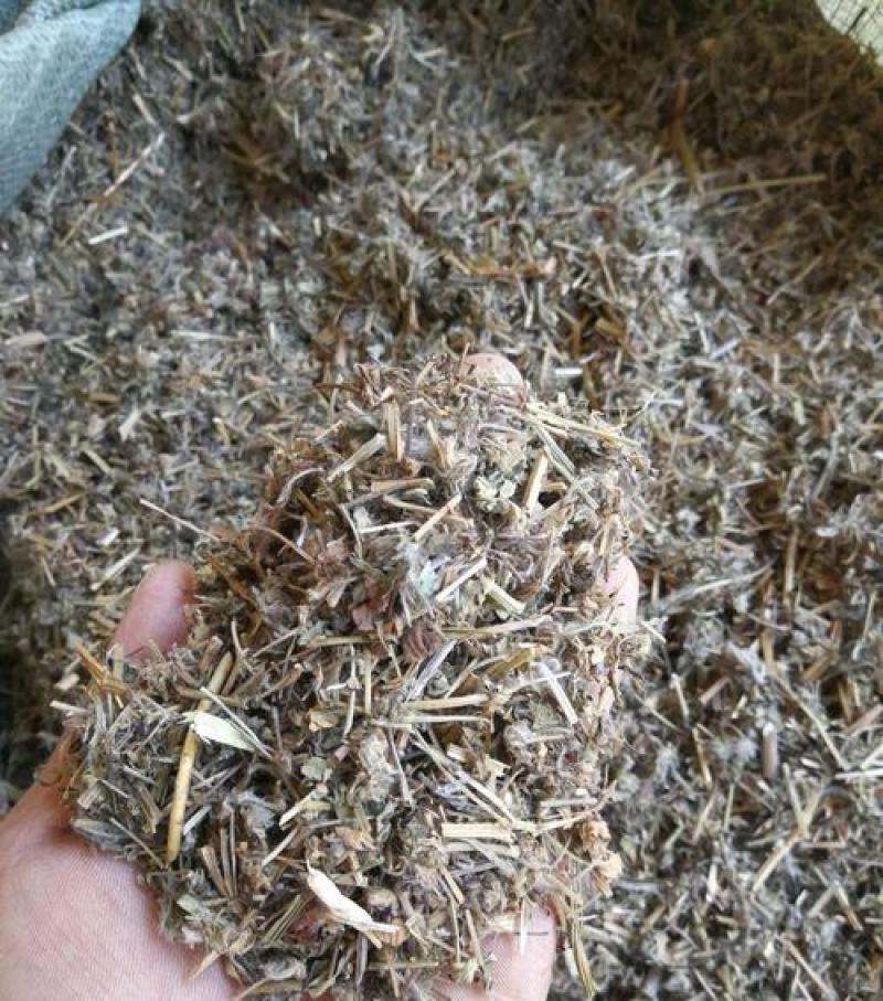 老鹳草，老观草，老鸦嘴野生新货质量保证，欢迎咨询选购！