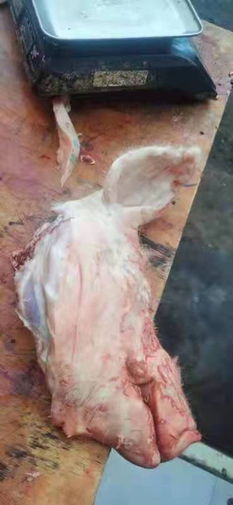 开边猪头，不带猪脑，一个最低十几斤，新鲜产品拒绝退换货