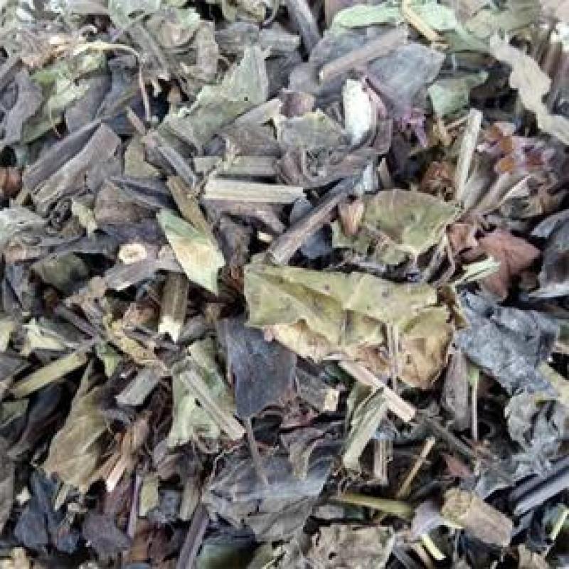 石见穿，石打穿野生新货质量保证，经营各种中药材！