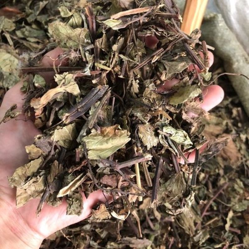 石见穿，石打穿野生新货质量保证，经营各种中药材！