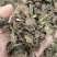 石见穿，石打穿野生新货质量保证，经营各种中药材！