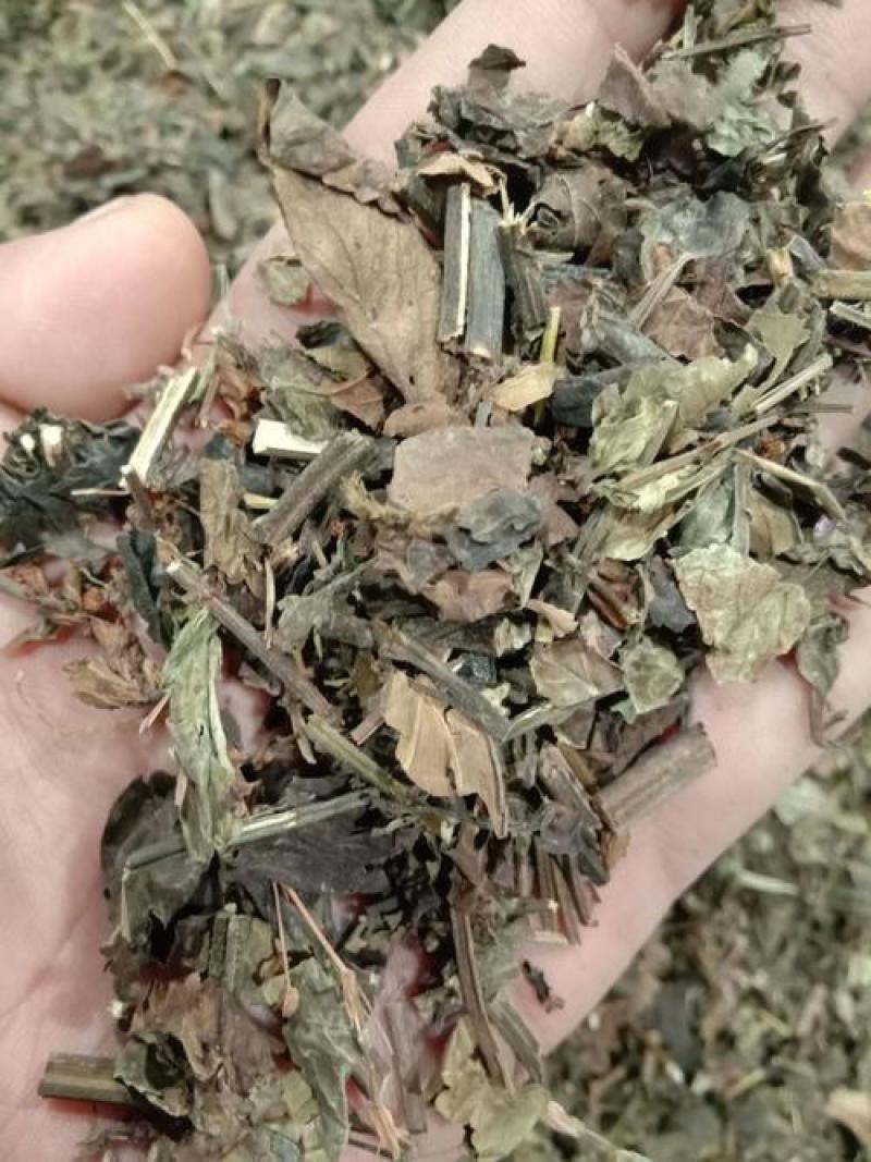 石见穿，石打穿野生新货质量保证，经营各种中药材！