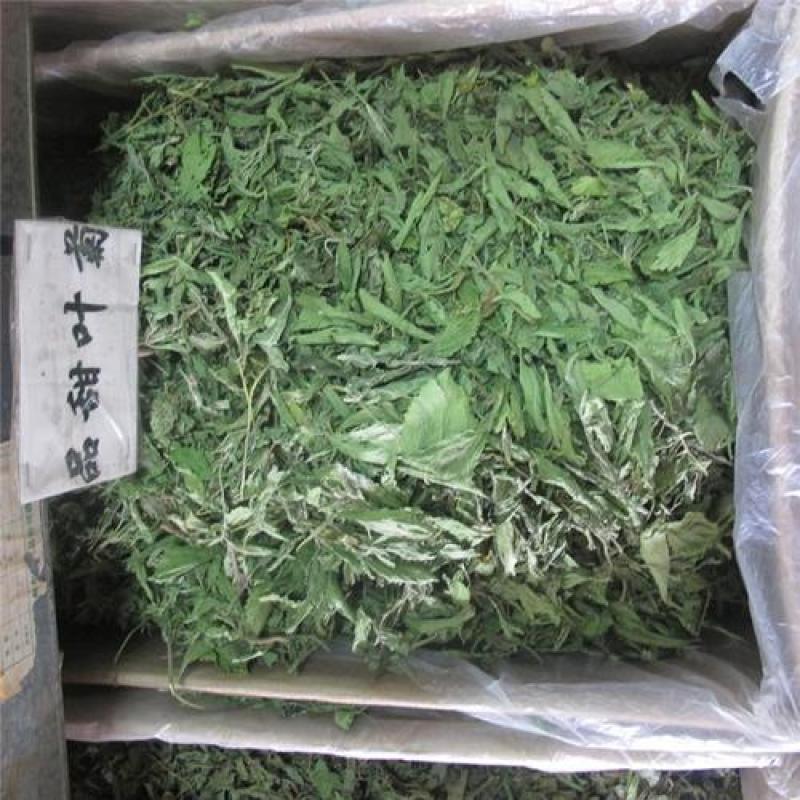 甜叶菊，正品甜叶菊质量保证，经营各种中药材欢迎咨询选购！