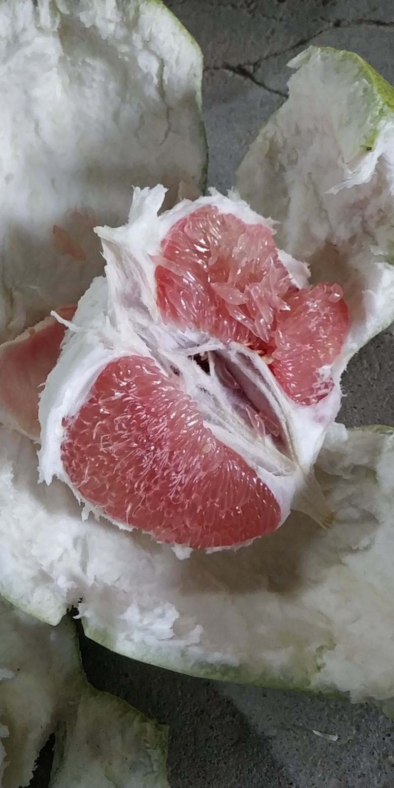 福建三红蜜柚价格超实惠不干水不，货源抢手订购速度联系！！