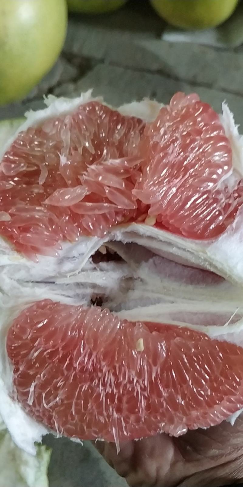 福建三红蜜柚价格超实惠不干水不，货源抢手订购速度联系！！