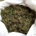 石上柏，干净无杂质量保证！欢迎咨询选购！