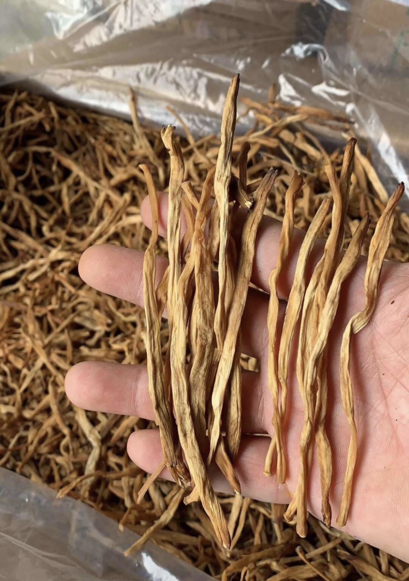 直条无硫农家自制黄花菜