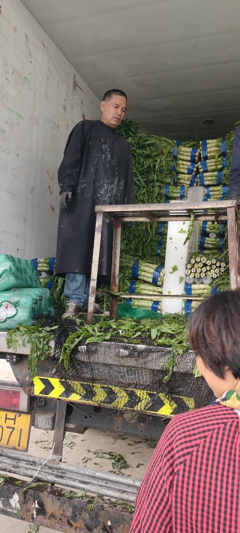 宿州尖叶香莴苣，大量上市，无空心，产地直发一手货源。
