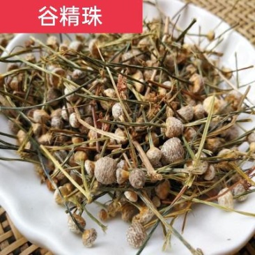 谷精珠，野生谷精珠质量保证，经营各种中药材欢迎咨询选购！