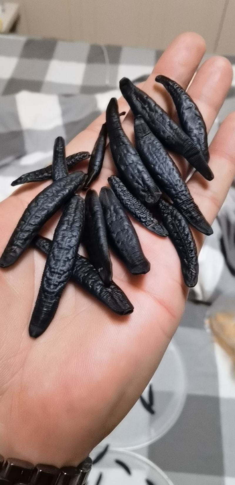 水蛭干品，医蛭干品，清水吊杆