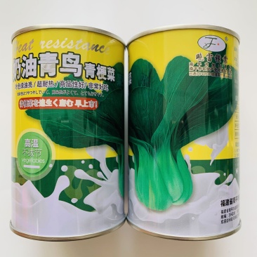 青梗菜种子杂交品种牛油青岛青种子