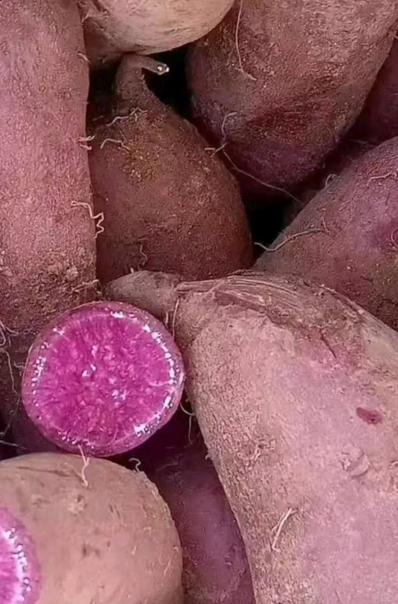 紫薯