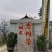 凤庆县大寺乡双龙古树晒红