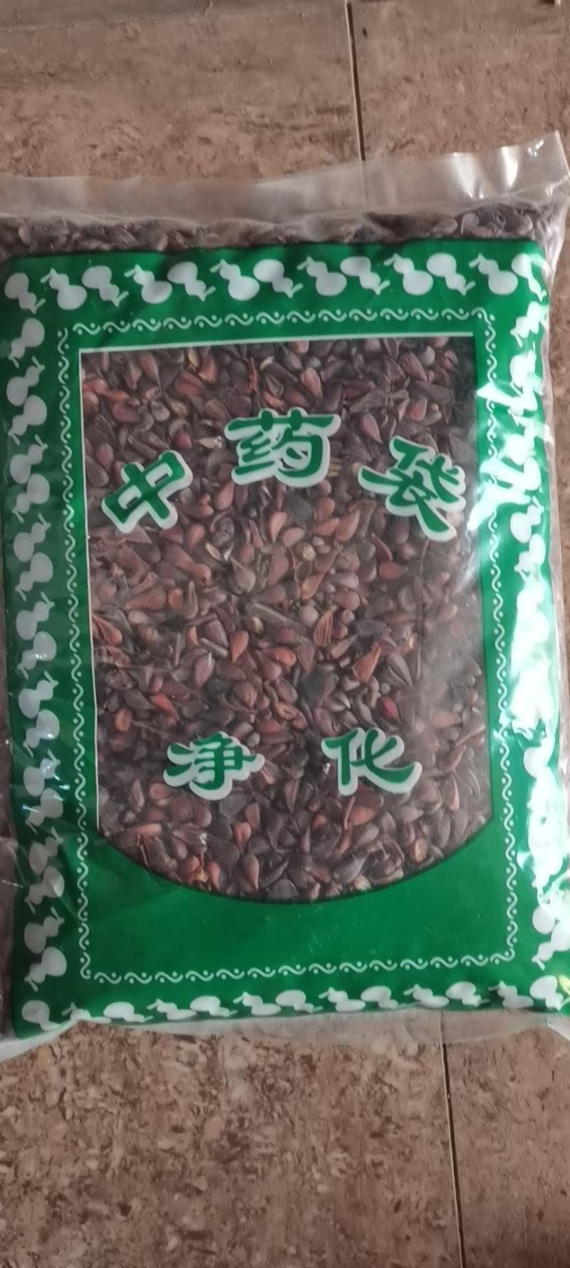 木瓜籽木瓜籽木瓜子实物拍摄干货无杂