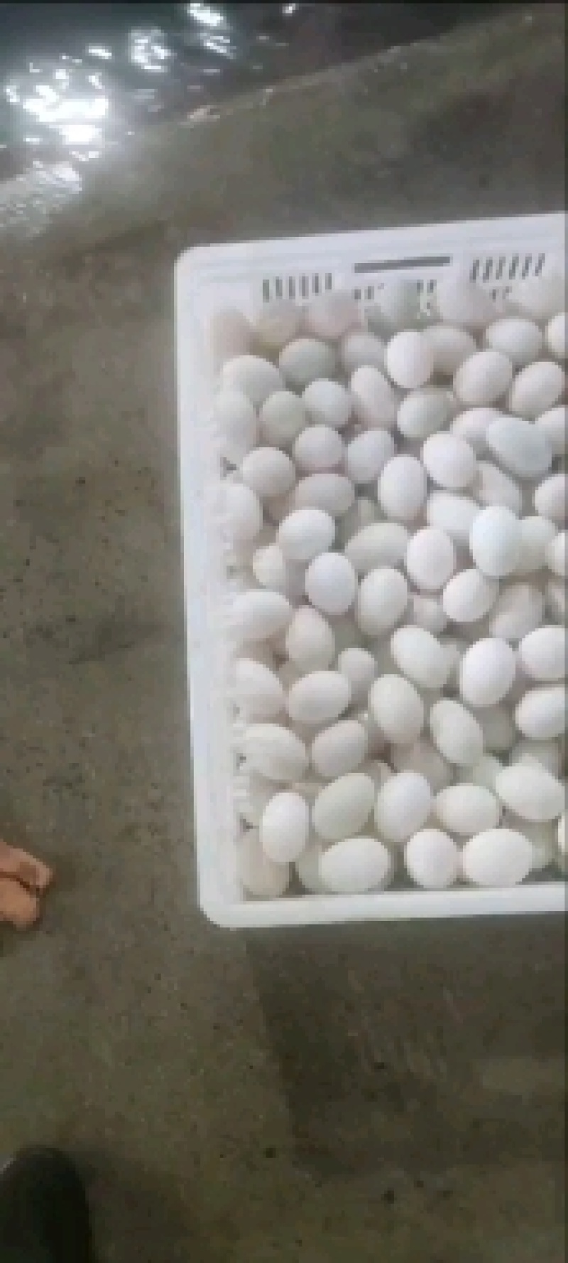 微山湖鲜鸭蛋